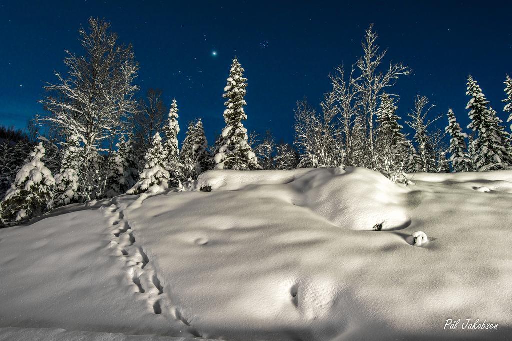Breidablikk Guesthouse Narvik Exteriér fotografie