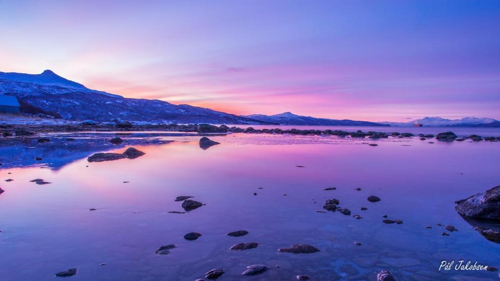 Breidablikk Guesthouse Narvik Exteriér fotografie