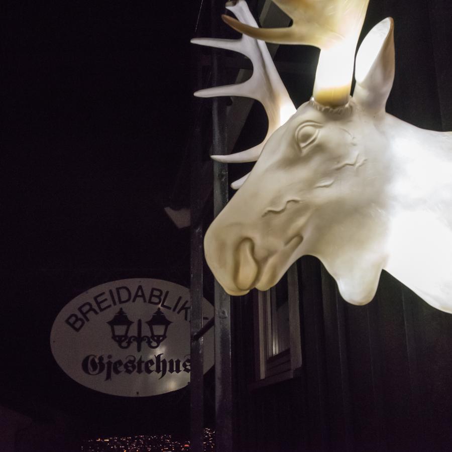 Breidablikk Guesthouse Narvik Exteriér fotografie