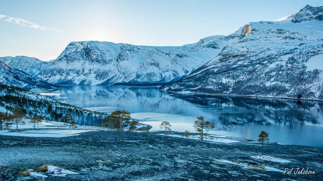 Breidablikk Guesthouse Narvik Exteriér fotografie